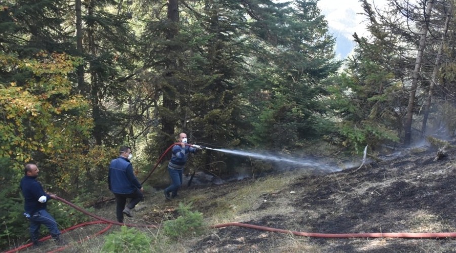 Boyabat'ta ��kan orman yang�n� kontrol alt�na al�nd�