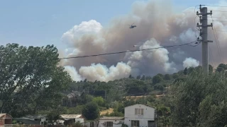 anakkale'de ormana srayan yangna mdahale ediliyor
