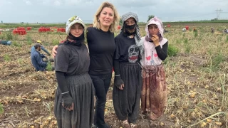 CHP'li Kaya: Soğan tarlasına tatile biraz da siz gelin