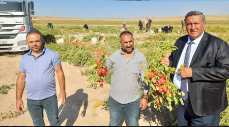 Çiftçi çalışıyor, aracı kazanıyor