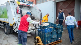 Depoda kokmuş 25 kasa tavuk ele geçirildi