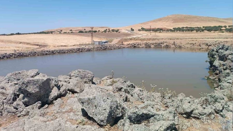 Diyarbak�r'da 1 g�nde 3 ki�i bo�uldu