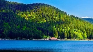 Doann drt mevsim gzdesi: Abant Gl 