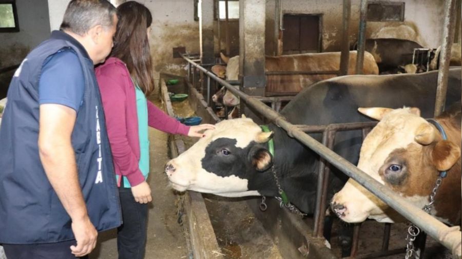 Düzce’den Türkiye'ye 3 milyon kanatlı hayvan