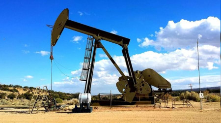 Elazığ'da petrol heyecanı