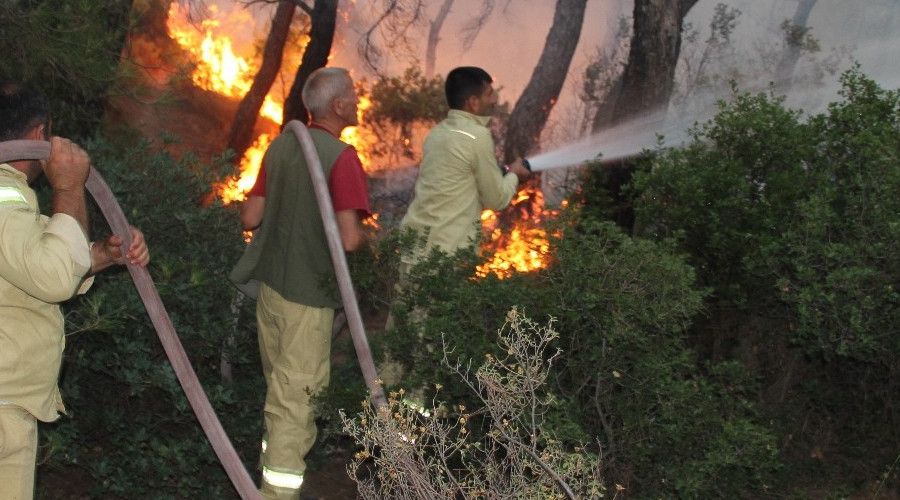 Fo�a'daki yang�n�n etraf� �evrildi