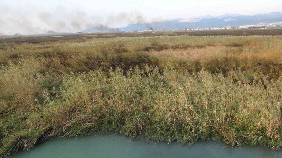 Göksu Deltası'ndaki yangın kendiliğinden söndü