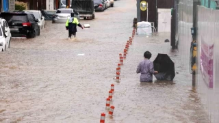 Gney Kore'de iddetli ya