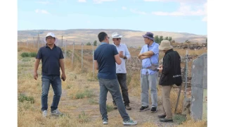 Gney Koreliler Kltepe'yi kefediyor