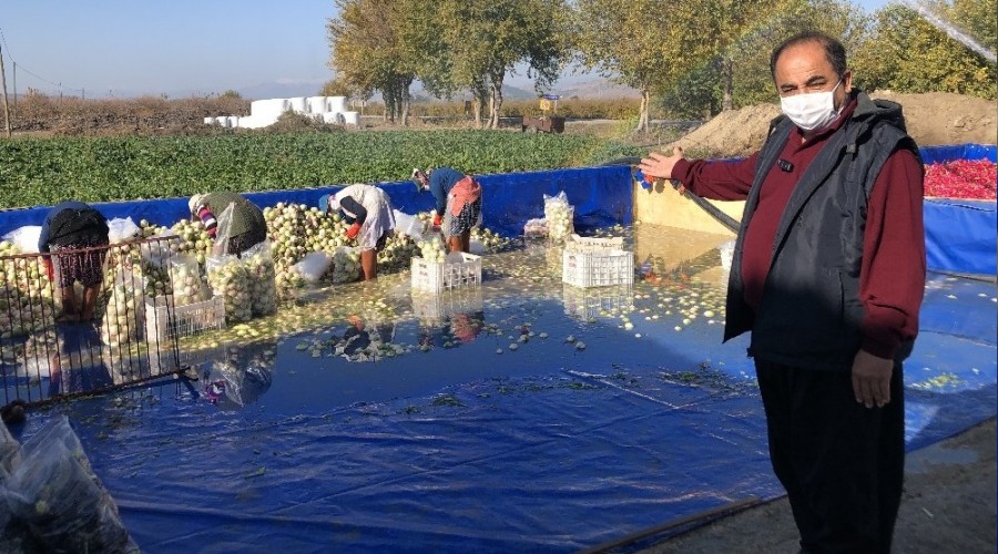 Hesap makinesini değil toprağı tercih etti