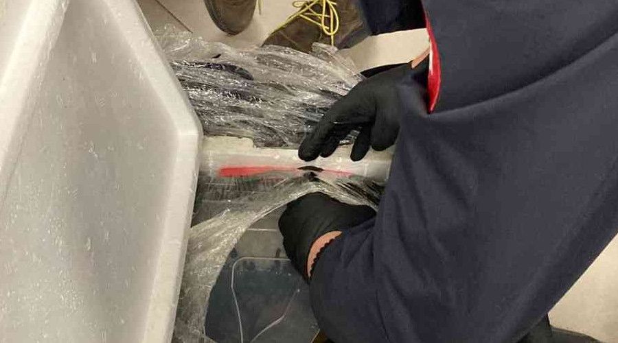 İstanbul Havalimanı'nda 4 bin canlı tıbbi sülük ele geçirildi
