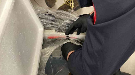 İstanbul Havalimanı'nda 4 bin canlı tıbbi sülük ele geçirildi