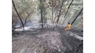 Kahramanmara'ta 5.5 hektar orman zarar grd