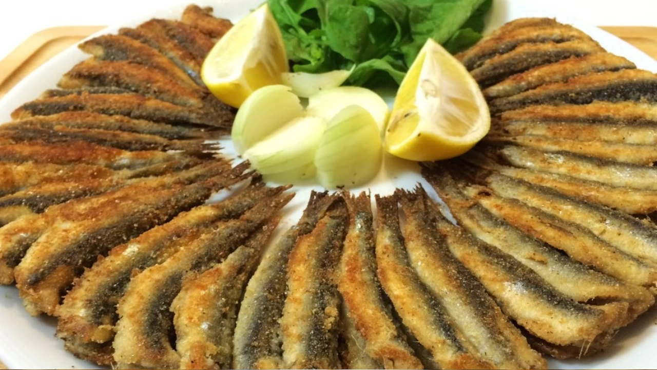 Karadeniz'in lezzetli el�isi: Hamsi