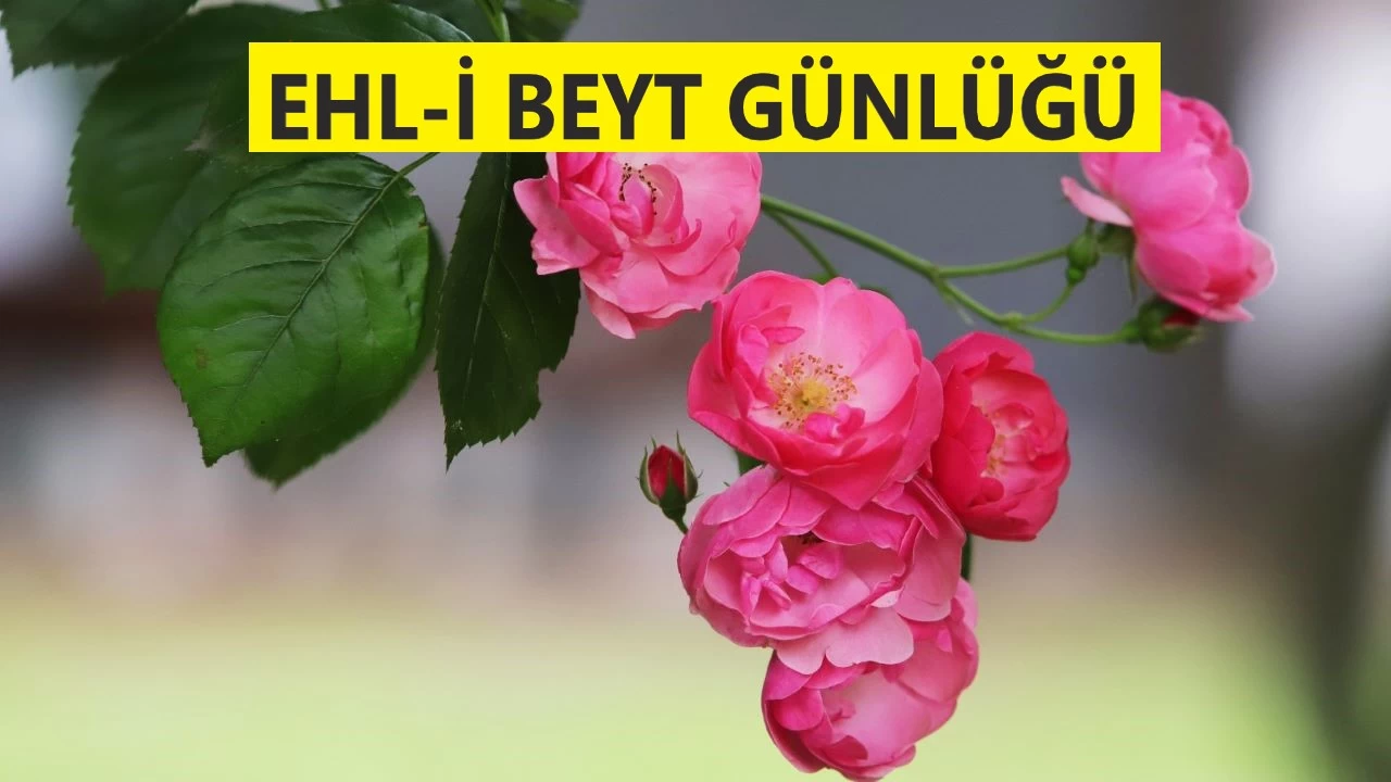 ‘Kendini nasıl Ali’yle bir tutarsın’