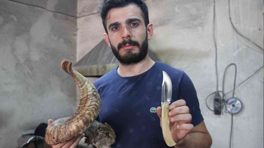 Koç boynuzu azaldı üretim daraldı