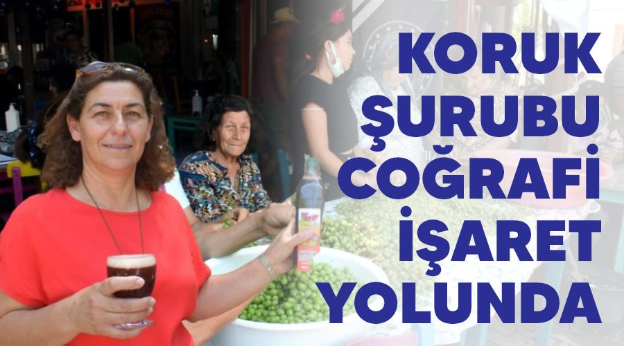 Koruk urubu corafi iaret yolunda