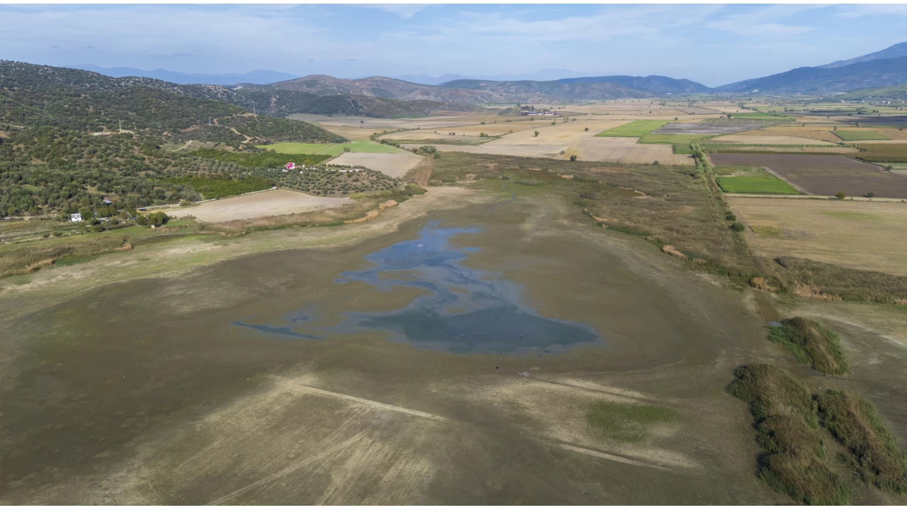 Kurakln vurduu glde binlerce balk telef oldu