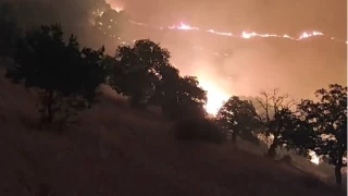 Manisa'nn Kprba ilesinde de orman yangn balad