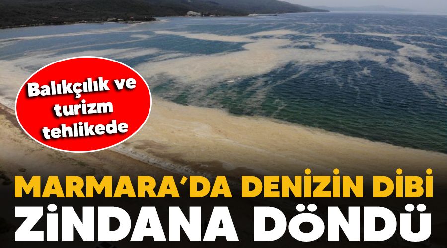Marmara'da denizin dibi zindana döndü