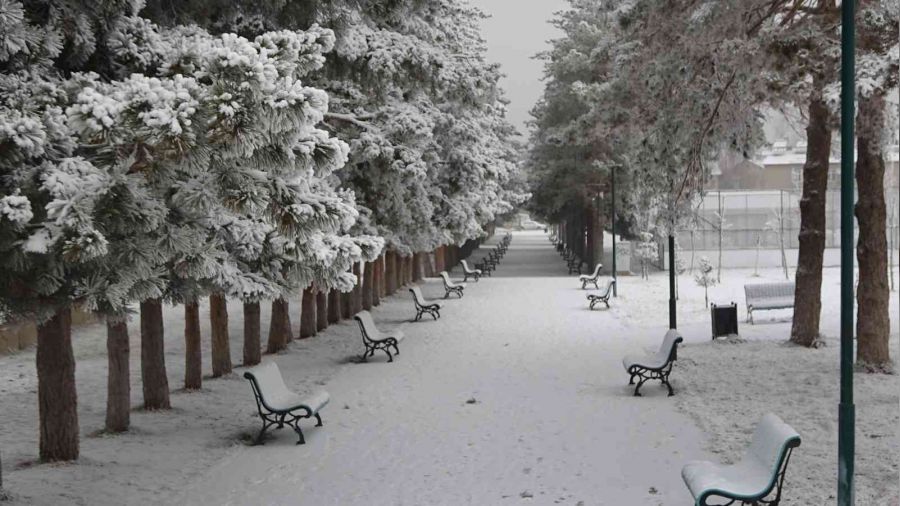 Muş'ta kar değil kırağı yağdı