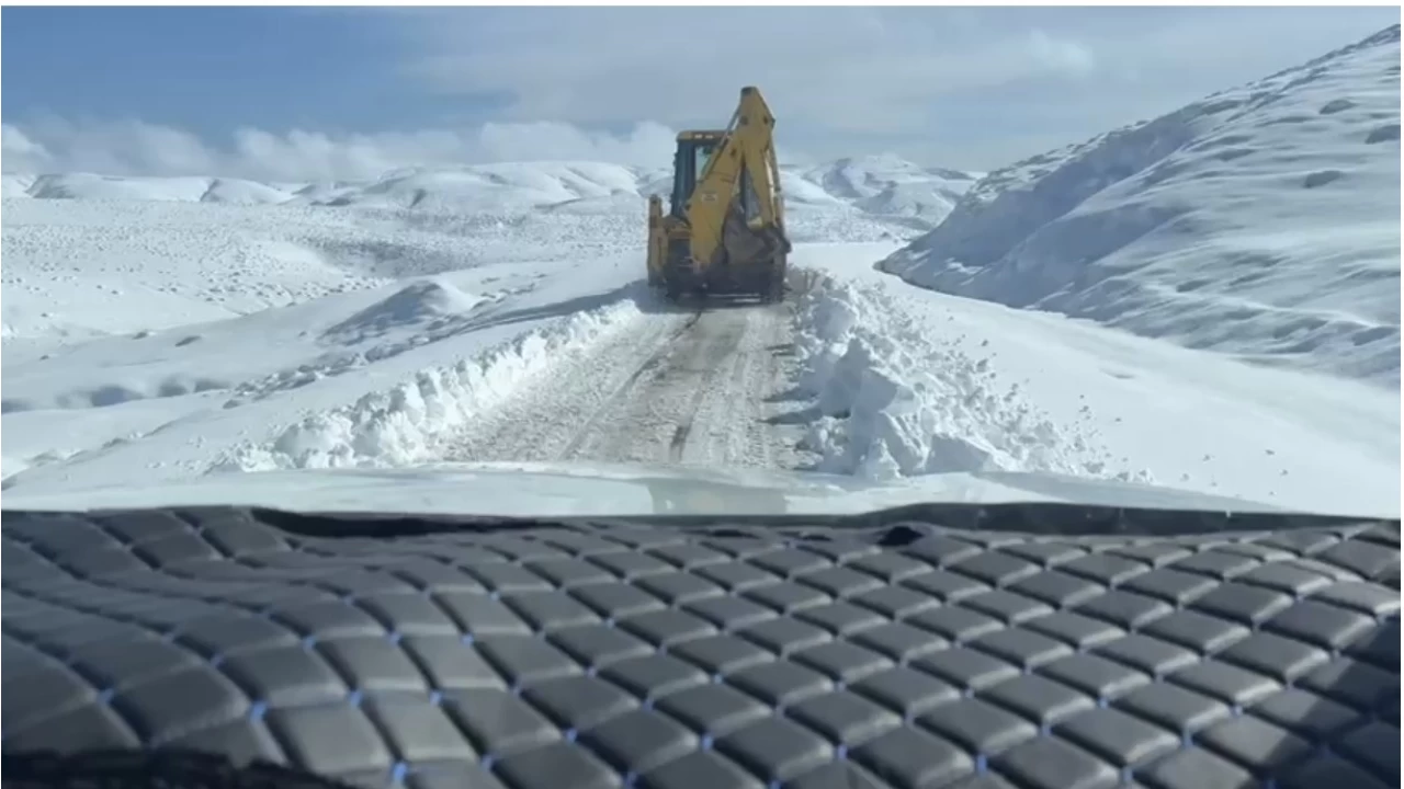 Muş'ta yoğun kar yağışı