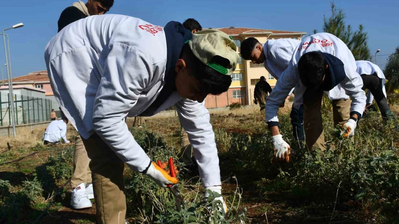 rencilere 'tohumdan sofraya' tarm eitimi