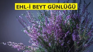 Onlar hile ve gadir ehlidir