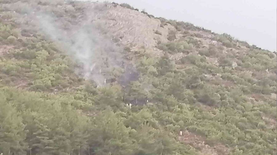 Ormanl�k alana d��en y�ld�r�m yang�n ��kard�