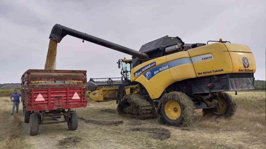 Pehlivank�y'de �eltik hasad� ba�lad�