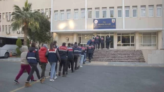 Sahte ilanla dolandırıcılık yapan çete çökertildi