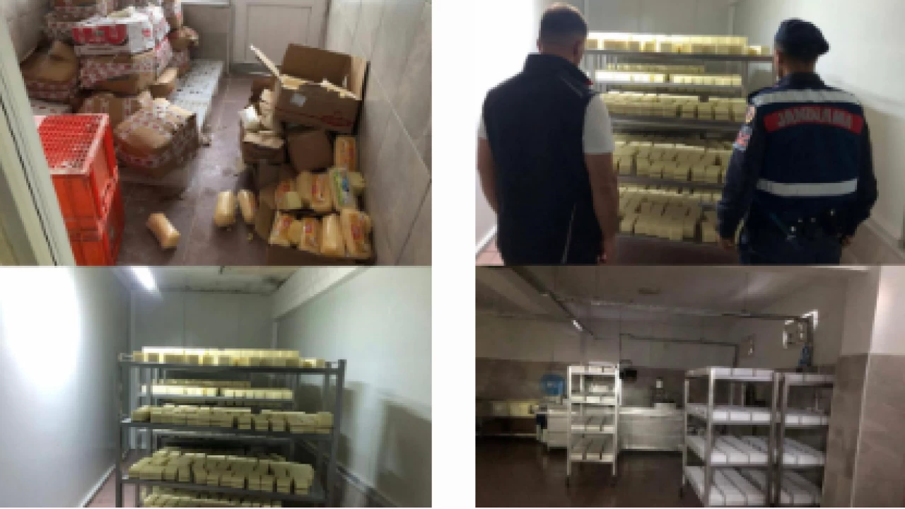 Sakarya'da 1,5 milyonluk sahte kaşar peyniri operasyonu