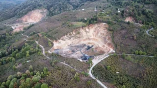 Sakarya'da ta oca mahalleyi yok etmeye balad