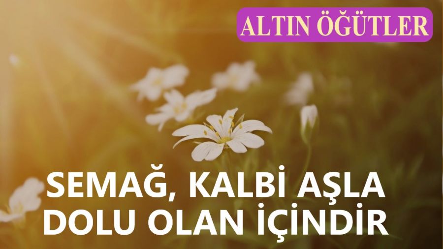 Semağ, kalbi aşkla dolu olan içindir