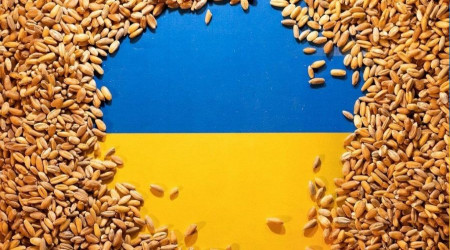 Slovakya, 'insan sağlığına zararlı' diyerek Ukrayna'dan tahıl ithalatını yasakladı