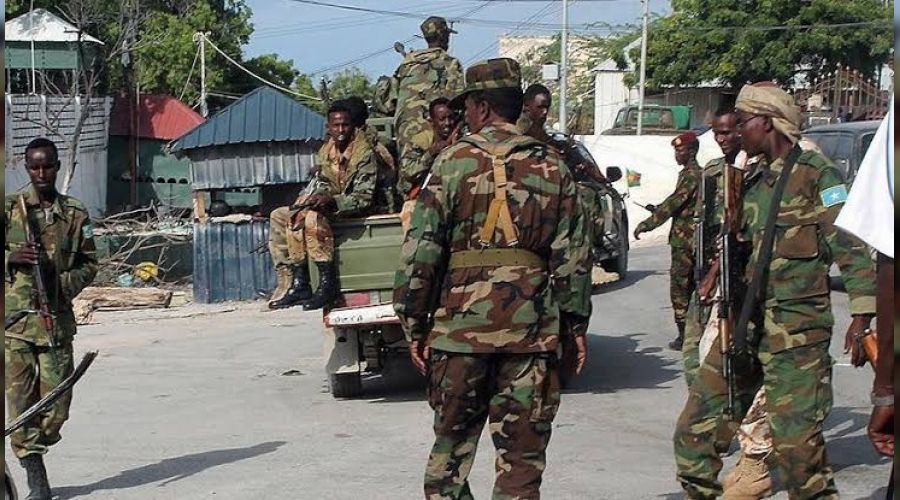 Somali'de 5 Eş-Şebab militanı öldürüldü