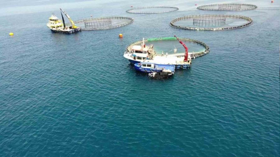 Su �r�nleri ihracat�ndan 1.7 milyar dolar gelir elde edildi