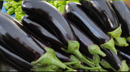 Tarladan markete makas büyüyor