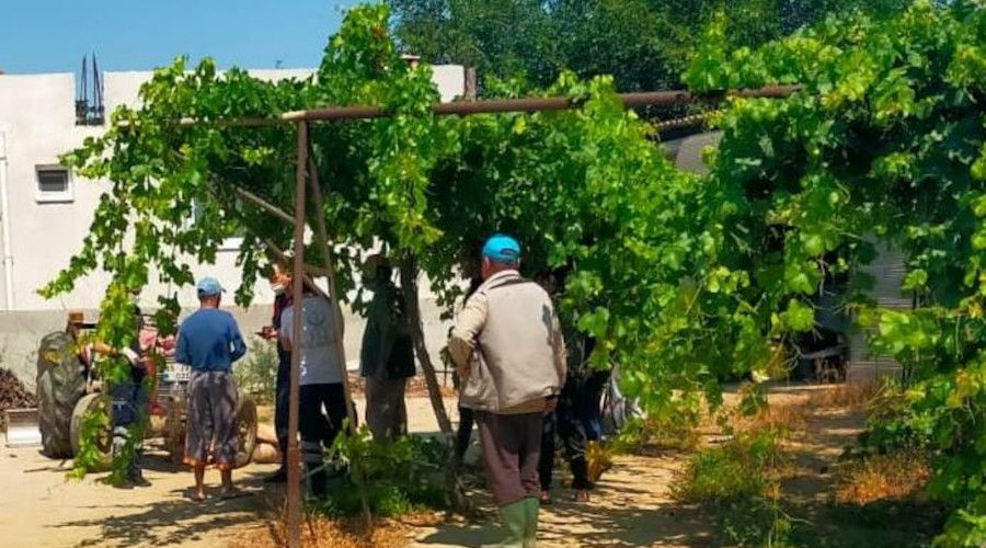 Traktörün üzerinde kalp krizi geçirip tekerin altında kaldı
