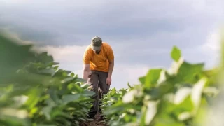 Türkiye'de küçük ölçekli çiftçiliğin geleceği