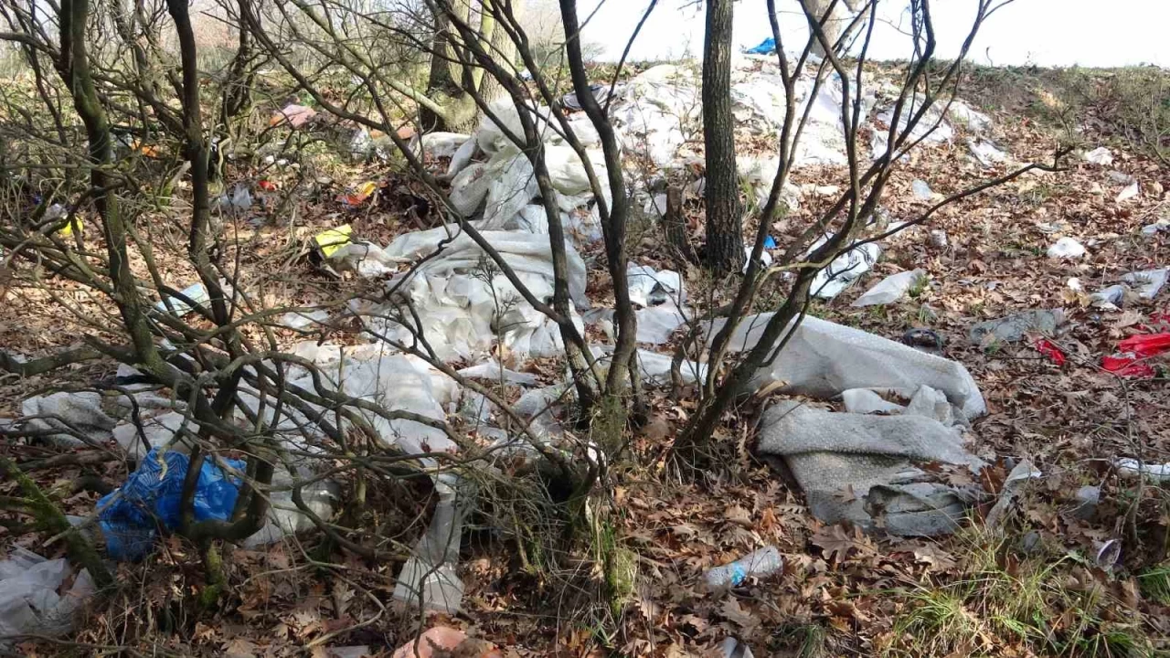 Tuzla'da mesire alanlar� ��pl��e d�nd�