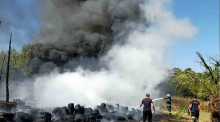Yalova'da sera yangını