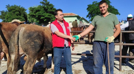 Yozgat'ta kurbanlıklar görücüye çıktı