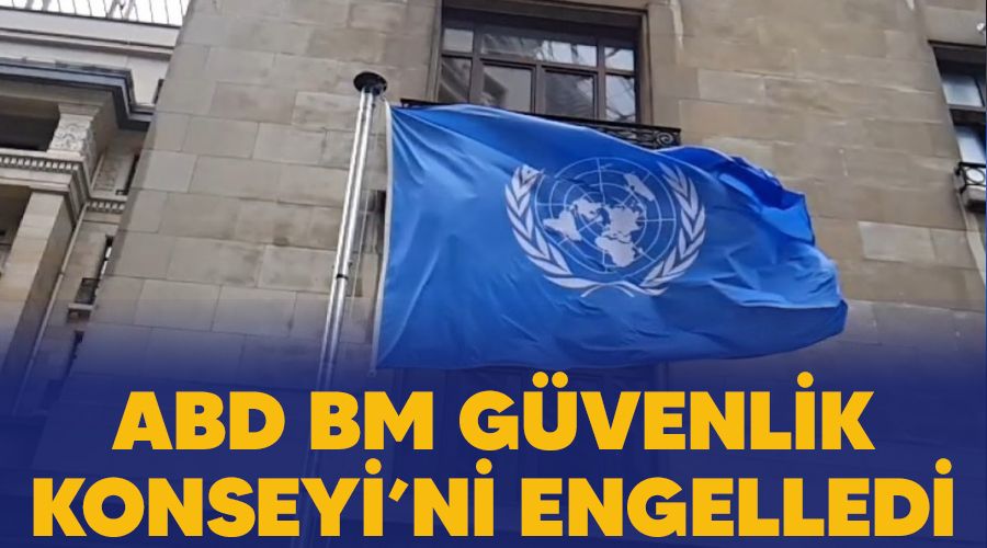 ABD, BM Gvenlik Konseyi'ni engelledi 