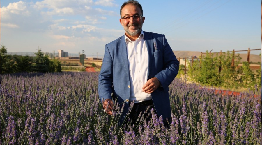Afşin lavantası dünyaya açılacak