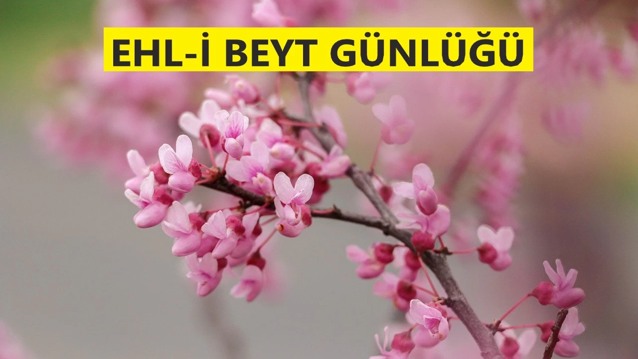 ‘Allah daha iyi bilir’