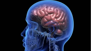 Alzheimer'a Karşı Erkek Beyni Neden Daha Savunmasız?