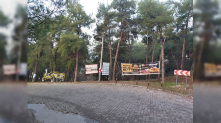 Aytepe Varyantı kötü görüntüden arındırıldı