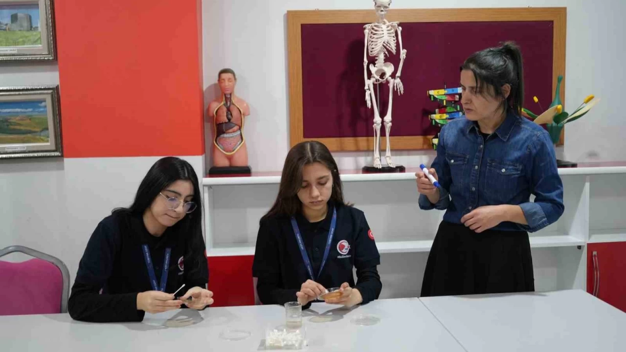 Bilimin ışığında bir öğretmenin hikâyesi