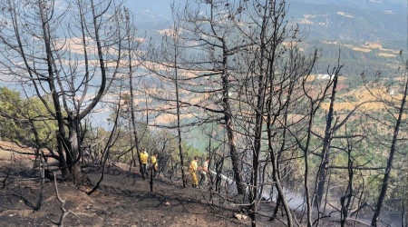 Bolu'da orman yangını devam ediyor